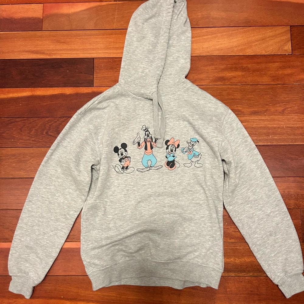 Disney Characters Gray Hoodie - Small